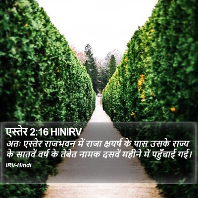 एस्तेर 2:16 HINIRV Bible Verse Image