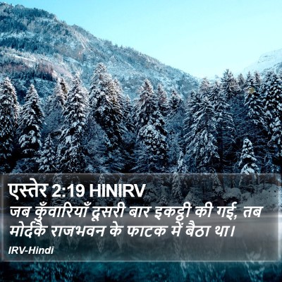 एस्तेर 2:19 HINIRV Bible Verse Image