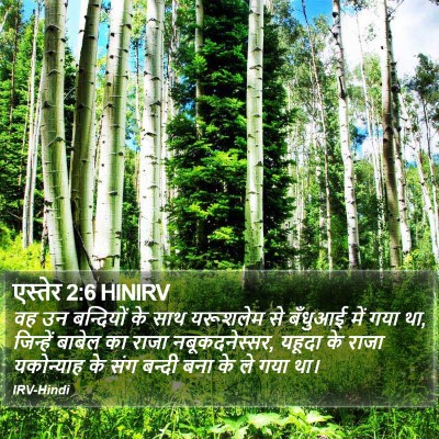 एस्तेर 2:6 HINIRV Bible Verse Image