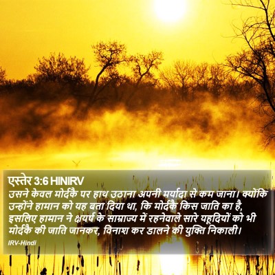 एस्तेर 3:6 HINIRV Bible Verse Image
