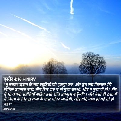 एस्तेर 4:16 HINIRV Bible Verse Image