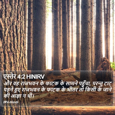 एस्तेर 4:2 HINIRV Bible Verse Image