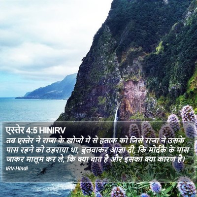 एस्तेर 4:5 HINIRV Bible Verse Image