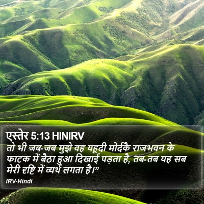 एस्तेर 5:13 HINIRV Bible Verse Image