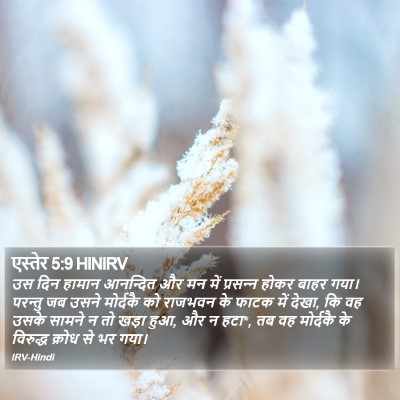 एस्तेर 5:9 HINIRV Bible Verse Image
