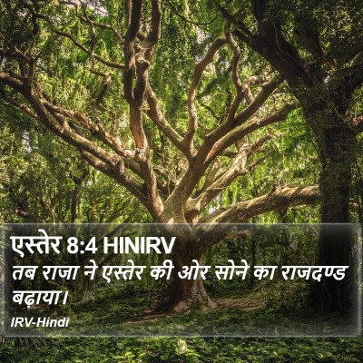 एस्तेर 8:4 HINIRV Bible Verse Image