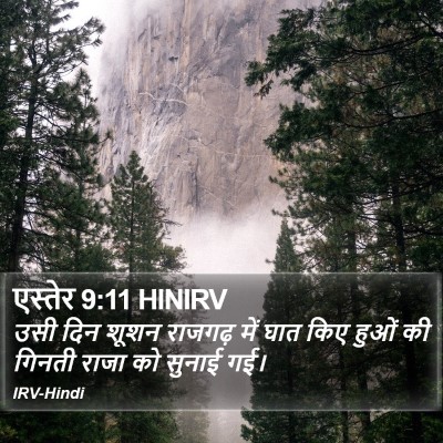 एस्तेर 9:11 HINIRV Bible Verse Image
