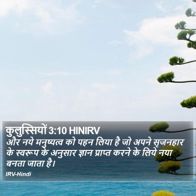 कुलुस्सियों 3:10 HINIRV Bible Verse Image