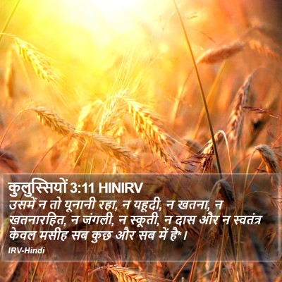 कुलुस्सियों 3:11 HINIRV Bible Verse Image