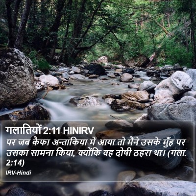 गलातियों 2:11 HINIRV Bible Verse Image