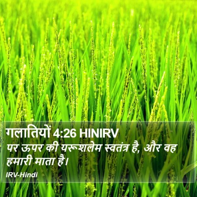 गलातियों 4:26 HINIRV Bible Verse Image