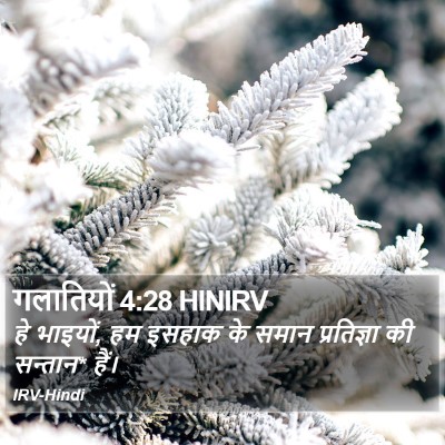 गलातियों 4:28 HINIRV Bible Verse Image