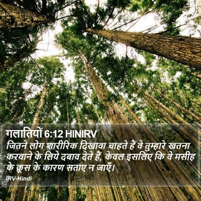 गलातियों 6:12 HINIRV Bible Verse Image