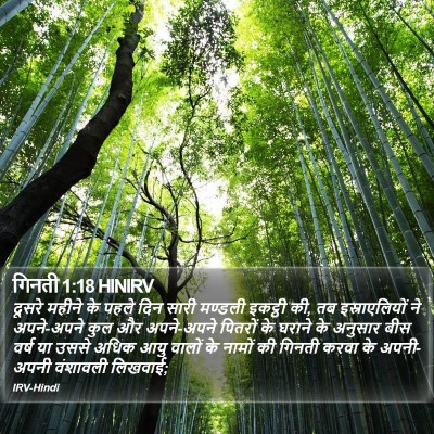 गिनती 1:18 HINIRV Bible Verse Image