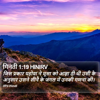 गिनती 1:19 HINIRV Bible Verse Image