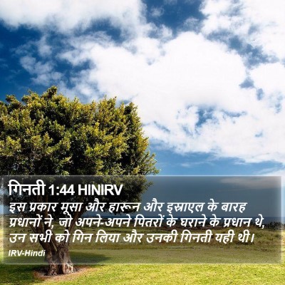 गिनती 1:44 HINIRV Bible Verse Image