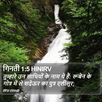 गिनती 1:5 HINIRV Bible Verse Image