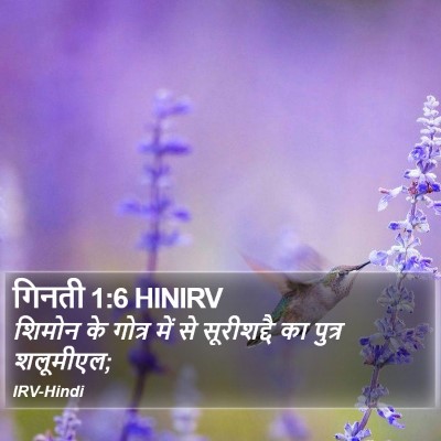 गिनती 1:6 HINIRV Bible Verse Image