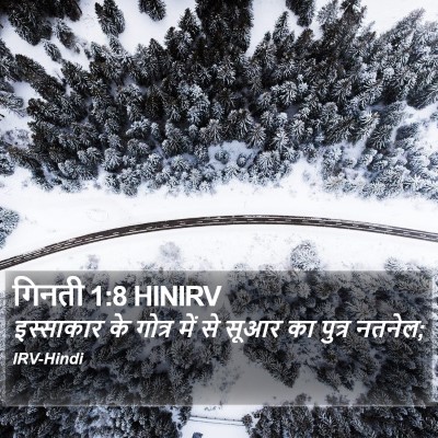 गिनती 1:8 HINIRV Bible Verse Image