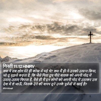 गिनती 11:12 HINIRV Bible Verse Image