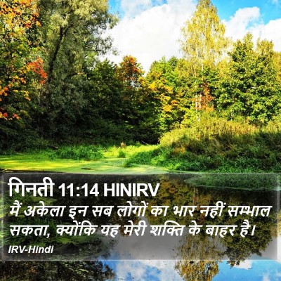 गिनती 11:14 HINIRV Bible Verse Image