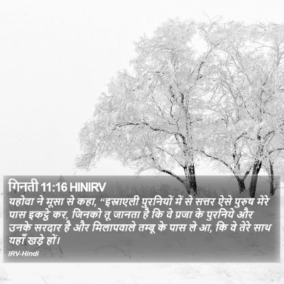गिनती 11:16 HINIRV Bible Verse Image