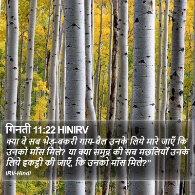 गिनती 11:22 HINIRV Bible Verse Image