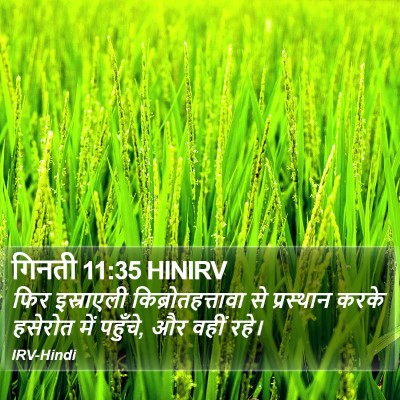 गिनती 11:35 HINIRV Bible Verse Image