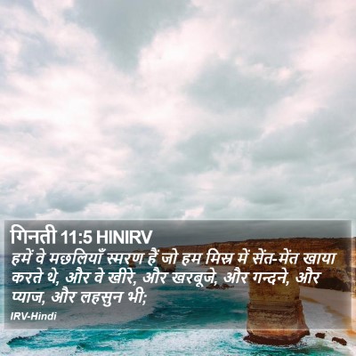 गिनती 11:5 HINIRV Bible Verse Image