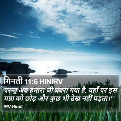 गिनती 11:6 HINIRV Bible Verse Image