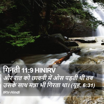 गिनती 11:9 HINIRV Bible Verse Image