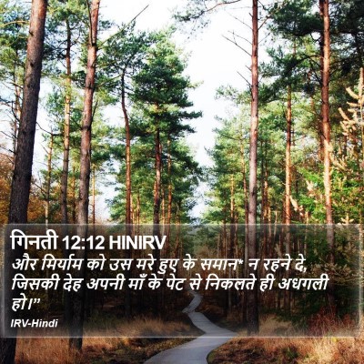 गिनती 12:12 HINIRV Bible Verse Image