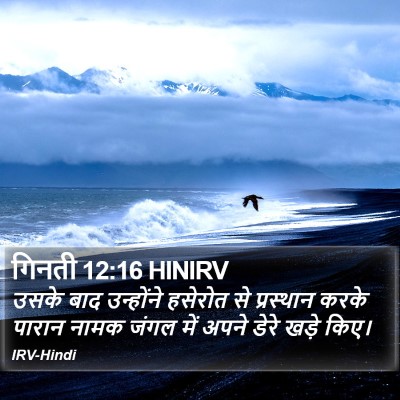 गिनती 12:16 HINIRV Bible Verse Image