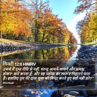 गिनती 12:8 HINIRV Bible Verse Image