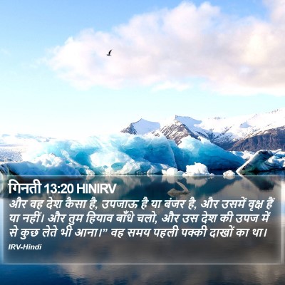 गिनती 13:20 HINIRV Bible Verse Image