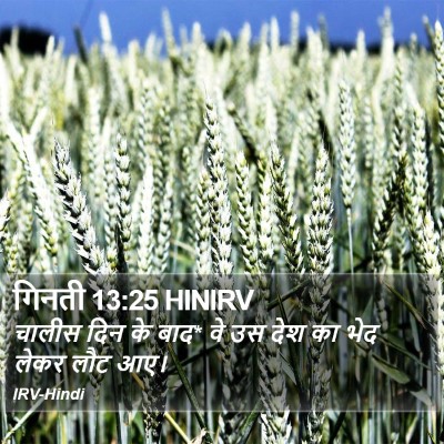 गिनती 13:25 HINIRV Bible Verse Image