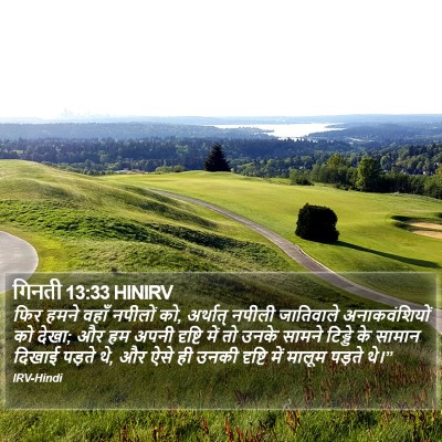 गिनती 13:33 HINIRV Bible Verse Image