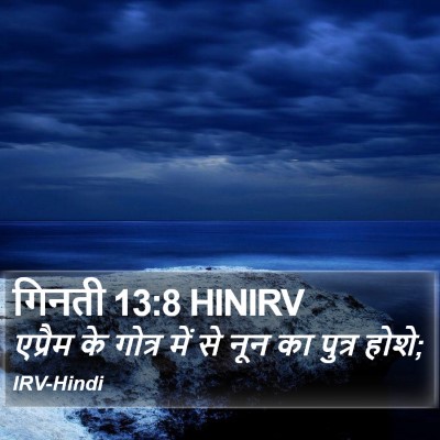 गिनती 13:8 HINIRV Bible Verse Image