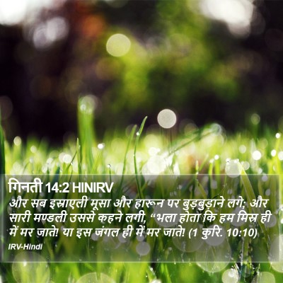 गिनती 14:2 HINIRV Bible Verse Image