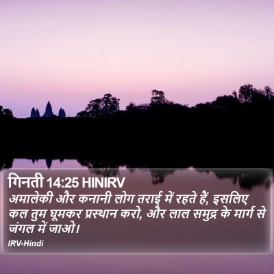 गिनती 14:25 HINIRV Bible Verse Image