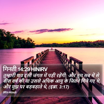 गिनती 14:29 HINIRV Bible Verse Image