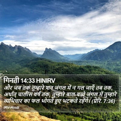 गिनती 14:33 HINIRV Bible Verse Image