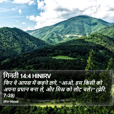 गिनती 14:4 HINIRV Bible Verse Image