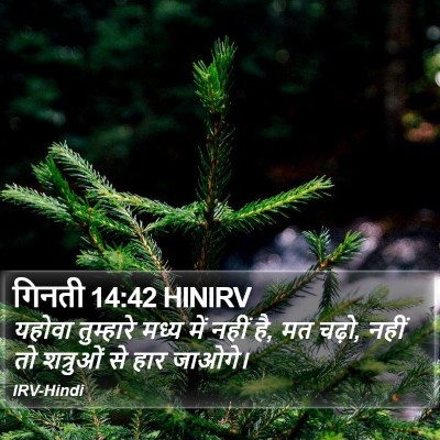 गिनती 14:42 HINIRV Bible Verse Image