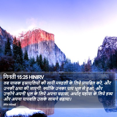गिनती 15:25 HINIRV Bible Verse Image