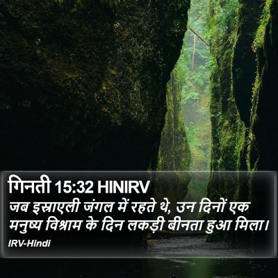 गिनती 15:32 HINIRV Bible Verse Image