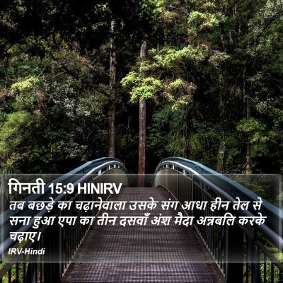 गिनती 15:9 HINIRV Bible Verse Image