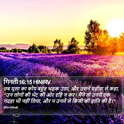 गिनती 16:15 HINIRV Bible Verse Image
