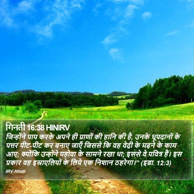 गिनती 16:38 HINIRV Bible Verse Image