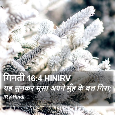 गिनती 16:4 HINIRV Bible Verse Image